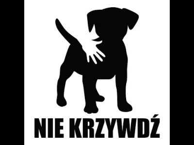 BIBIK - #kononowicz