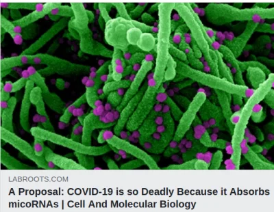 bioslawek - Czy COVID-19 jest tak zabójczy, ponieważ SARS-CoV-2 absorbuje mikoRNA?

...