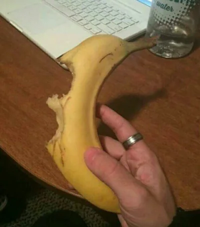 drzdrzownica - #!$%@? te banany tak szczerze