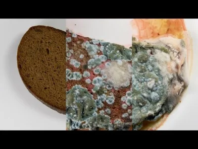 starnak - Tak dzieje się z chlebem w wodzie