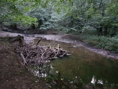 izkYT - @Garks tutaj też niby kałuża, a jest. One mają wizję, na której nie oszczędza...