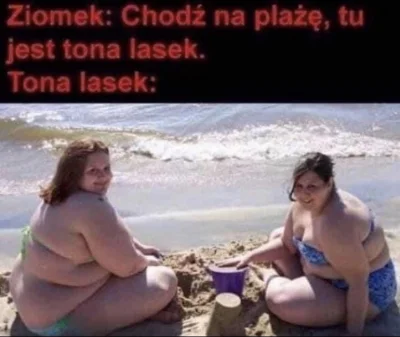 drylownicadomalin - #heheszki #humorobrazkowy #p0lka #rozowepaski