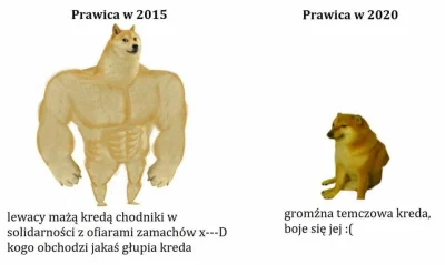 M.....s - #takaprawda #bekazprawakow #urojeniaprawakoidalne

Normalnie jak mrowka kie...