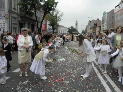 patykiem_pisane - Prawaki na wykopie - Trzeba tępić wandali co rozsypują kolorowe gów...