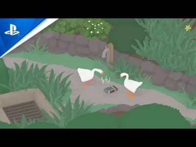 janushek - Honk! Honk! 23 września update z kooperacją. 
#gry #untitledgoosegame #ps...