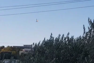 60groszyzawpis - Dzisiaj nad Idlib rebelianci/Turcy zestrzelili dwa drony. Wszystko w...