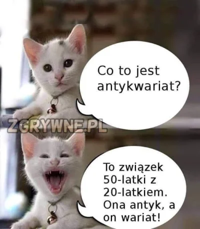 krzaqx - #grazynacore #cringe #heheszki
I na #!$%@? tam ten kot...