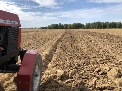 tomy86 - A Wy jak tam? Dalej zdalna praca w chłodnym mieszkaniu z kotem na kolanach? ...