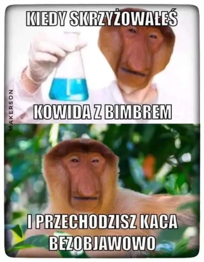 MaczoO - #heheszki #humorobrazkowy