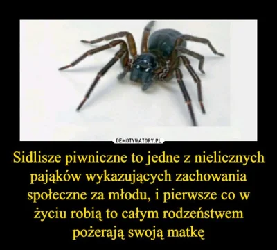 Elster - Taki kolega odwiedził mnie dziś w kuchni. Pomściłam jego matkę ( ͡° ͜ʖ ͡°) i...