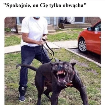 C.....e - Jak można chodzić z takim bydlem bez kagańca ლ(ಠ_ಠ ლ)