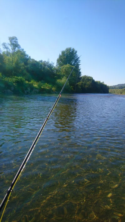 omgoogle - Wpadłem z głupa o 8 rano i dwa potoki po 30/35 wpadły. A chodziłem wcześni...