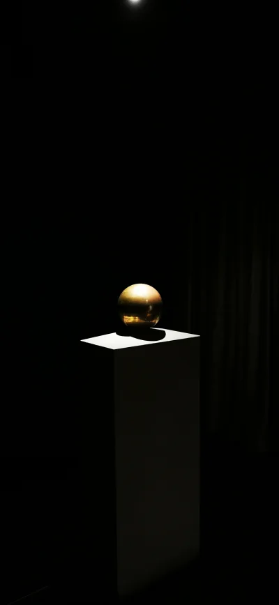 pronter - Urna z prochami Tesli. 
#nieboperfekcjonistow #fotografia #tesla #belgrad #...