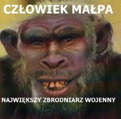 Intellectually_superior - Ciesz się, że jeszcze żyjesz.