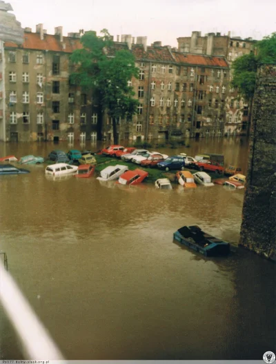bolorollo - Powódź 97. #wroclaw