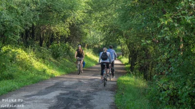 cieliczka - Możecie polecić jakieś trasy rowerowe w południowej Polsce (najlepiej w w...