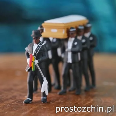 Prostozchin - >> Figurka Coffin Dance << ~33 zł

Coffin Dance - Youtube


Dodaj ...