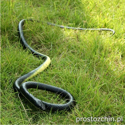 Prostozchin - >> Duży realistycznie wyglądający wąż << ~24 zł.

Wąż wygląda bardzo ...