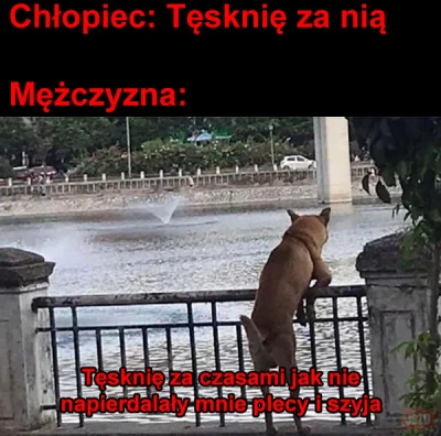 Mjau - #humorobrazkowy #heheszki #takaprawda