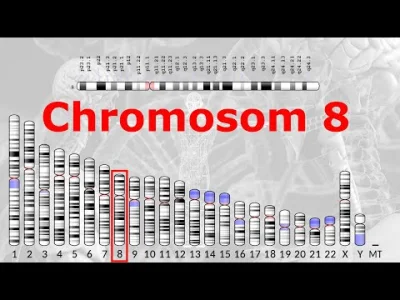 paczelok - testy PCR na koronawirua wykrywają chromosom CTCCCTTTGTTGTGTTGT z ludzkieg...