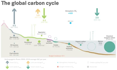 zrakiep - @Pio_Coll: wzrost stężenia CO2 faktycznie powoduje przyrost biomasy i fakty...