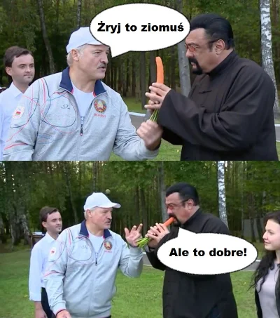 Dominic_Decoco - #heheszki #humorobrazkowy #seagal #bialorus