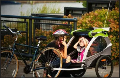 reddin - > lenistwo bo ktoś nie chce jeździć rowerem xDD

Ludzie wożą dzieci do szko...