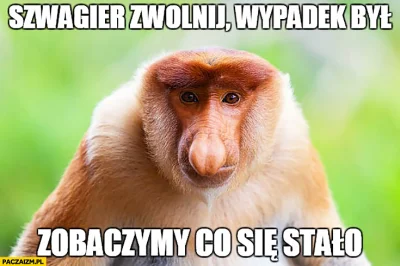 P.....k - @Birbirgo13: gdy scrolluje mirko i się zatrzymuje aby zobaczyć na mapie ile...