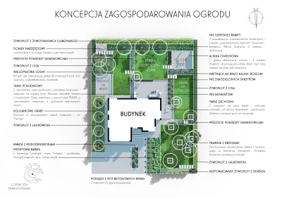 kjut_dziewczynka - Pracuję właśnie nad projektem ogrodu dla klientki spod Warszawy. K...