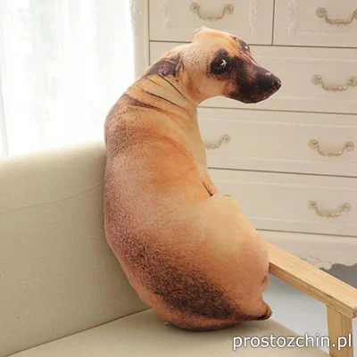 Prostozchin - >> Realistyczna poduszka psa << ~27 zł

Miesiąc temu od innego sprzed...