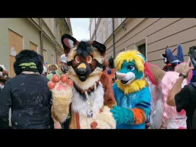 Wulfi - Krakowski Fursuit Walk 2020 

#furry #fursuit #futrowpis