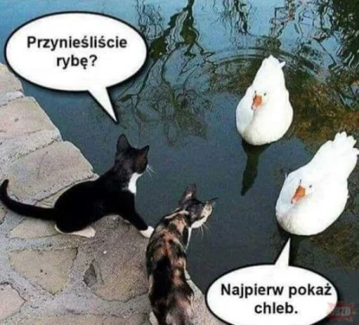 100piwdlapiotsza - #heheszki #humorobrazkowy