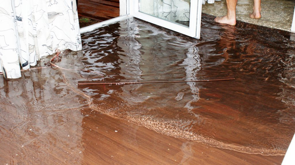 Как просушить дом после затопления