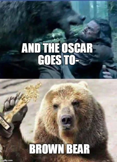 S.....n - o rzesz qooorwa!!!! cały czas myślałem o scenie z niedźwiedziem w filmie "z...