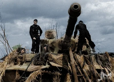 wojna - Niemiecki czołg Panzer VI 'Tygrys' No. 308 z 502. Batalionu Czołgów Ciężkich ...