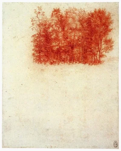 stowarzyszenie_przebudzeni - Leonardo da Vinci, A Copse of Trees 1502
#leonardodavinc...