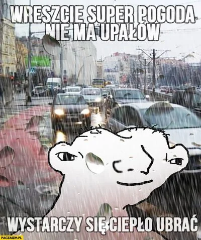 S.....a - I znowu k---a trzeba 8-9 miesięcy czekać na więcej niż 25 stopni i żeby moż...