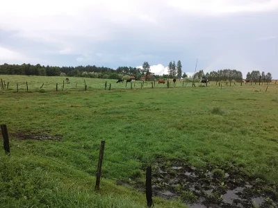 mpetrumnigrum - Jak motorowerem na wakacje do Rumunii jechałem. 5 Część ostatnia.

...