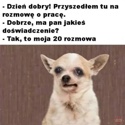 nutellowy - podsumowanie (niestety) ostatnich 3 miesięcy
#pracbaza #zalesie #humorob...