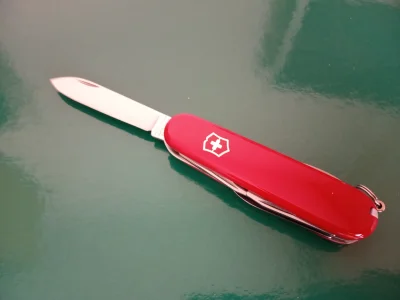 Ashby - Prezent sobie zrobiłem ;d 
#noze #victorinox