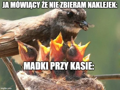 maxx92 - #biedronka #fajniaki #madka #p0lka #humorobrazkowy #dej #heheszki