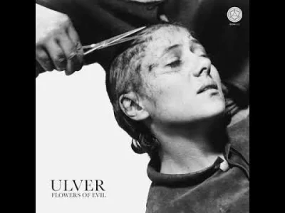 ponton - Ale ten nowy Ulver wpada w ucho. <3

#muzyka #muzykaelektroniczna #ulver