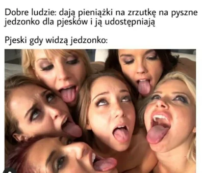 zapieponczek - Siemanko, wczoraj utworzyłam wykopową zbiórkę na pieski i kotki, dorzu...