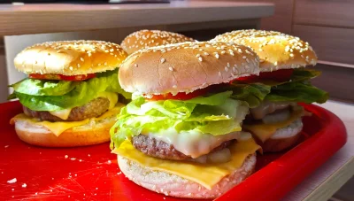 lenovo99 - Takie śniadanko (｡◕‿‿◕｡)


#chwalesie #jedzenie #burger