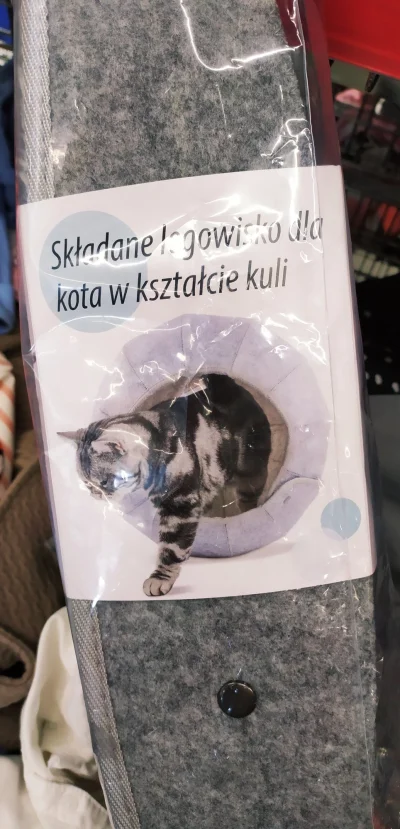 ArchDelux - Matko bosko, ale co się stało temu kotu? 

#smiesznykotek #smiesznekotki ...