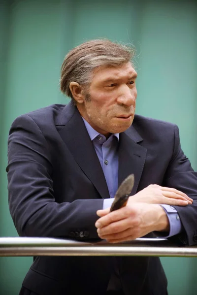 eeemil - BTW. Wygląd Neandertalczyków w kulturze popularnej jest skrzywiony przez nie...