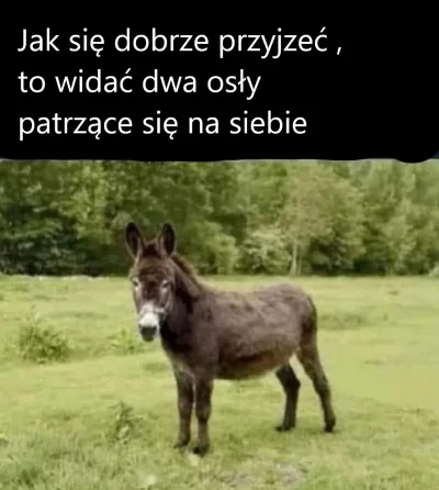 wrona12 - #humorobrazkowy