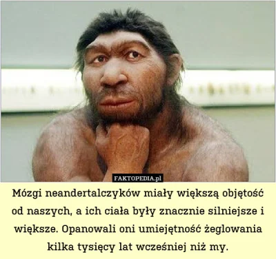 januszzczarnolasu - > W Polsce są najstarsze szczątki neandertalczyków w Europie Środ...