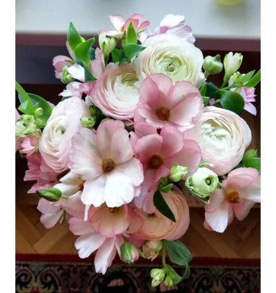 Bezikowy - #kwiaty #kiciochpyta #pytaniedoeksperta 

Mirki, jak nazywają się te kwiat...