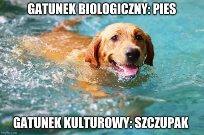 S.....i - > płeć dzielimy na biologiczną i urojoną ( ͡° ͜ʖ ͡°)

@lonegamedev: co ty...